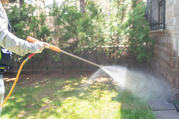 Emergency Pest Control Services in Elk Grove, CA